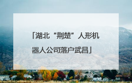 湖北“荆楚”人形机器人公司落户武昌