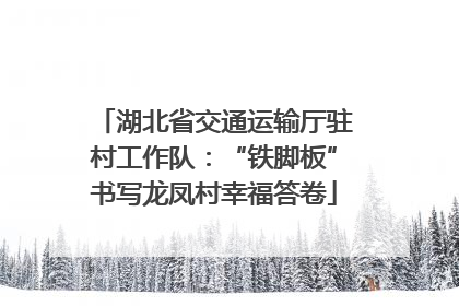 湖北省交通运输厅驻村工作队：“铁脚板”书写龙凤村幸福答卷