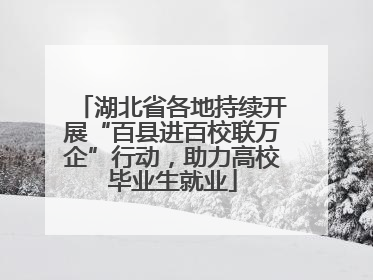湖北省各地持续开展“百县进百校联万企”行动，助力高校毕业生就业