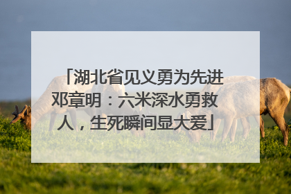 湖北省见义勇为先进邓章明：六米深水勇救人，生死瞬间显大爱