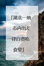 湖北一地：市内出差一律自费吃食堂