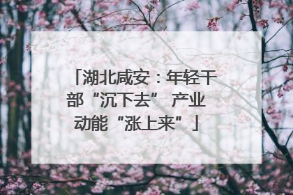 湖北咸安：年轻干部“沉下去” 产业动能“涨上来”