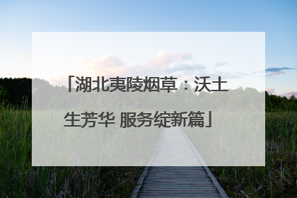 湖北夷陵烟草：沃土生芳华 服务绽新篇