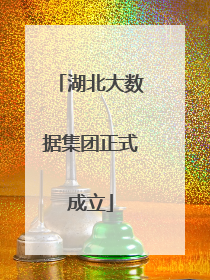 湖北大数据集团正式成立