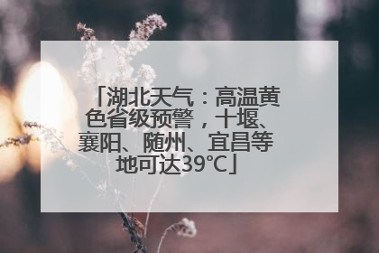 湖北天气：高温黄色省级预警，十堰、襄阳、随州、宜昌等地可达39℃
