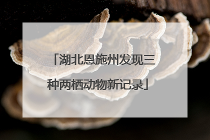 湖北恩施州发现三种两栖动物新记录