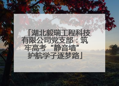 湖北毅瑞工程科技有限公司党支部：筑牢高考“静音墙” 护航学子逐梦路