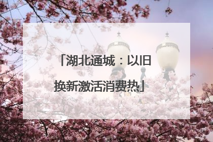 湖北通城：以旧换新激活消费热