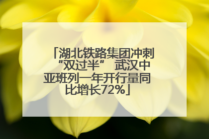 湖北铁路集团冲刺“双过半” 武汉中亚班列一年开行量同比增长72%