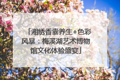 湘绣香囊养生+色彩风暴：梅溪湖艺术博物馆文化体验盛宴