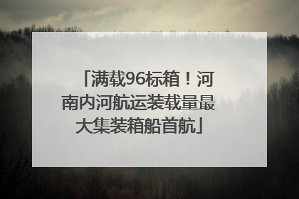 满载96标箱！河南内河航运装载量最大集装箱船首航