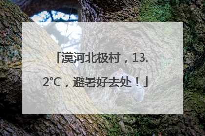 漠河北极村，13.2℃，避暑好去处！