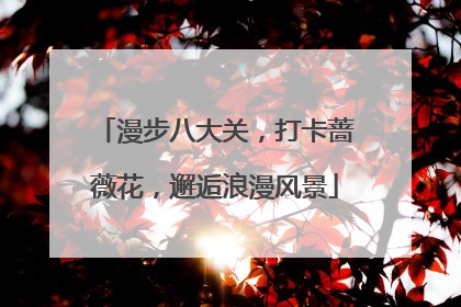 漫步八大关，打卡蔷薇花，邂逅浪漫风景