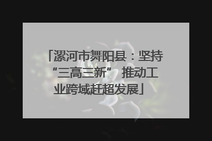漯河市舞阳县：坚持“三高三新” 推动工业跨域赶超发展
