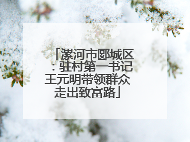 漯河市郾城区：驻村第一书记王元明带领群众走出致富路