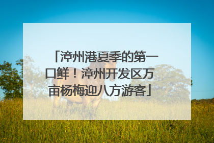 漳州港夏季的第一口鲜！漳州开发区万亩杨梅迎八方游客