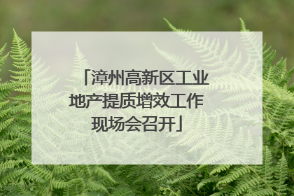 漳州高新区工业地产提质增效工作现场会召开