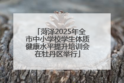 菏泽2025年全市中小学校学生体质健康水平提升培训会在牡丹区举行