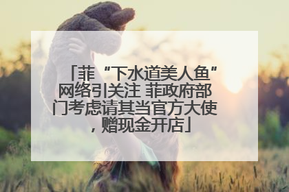 菲“下水道美人鱼”网络引关注 菲政府部门考虑请其当官方大使，赠现金开店