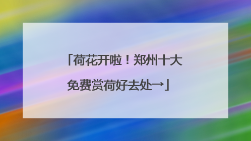 荷花开啦！郑州十大免费赏荷好去处→