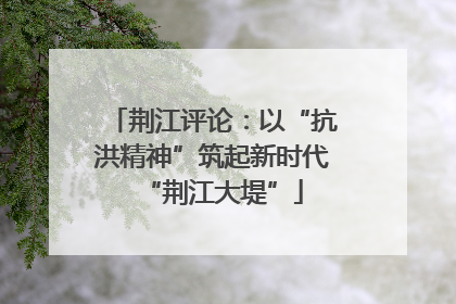 荆江评论：以“抗洪精神”筑起新时代“荆江大堤”