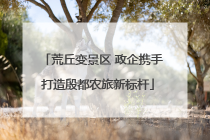 荒丘变景区 政企携手打造殷都农旅新标杆