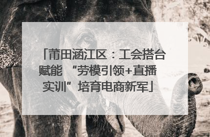 莆田涵江区：工会搭台赋能 “劳模引领+直播实训”培育电商新军