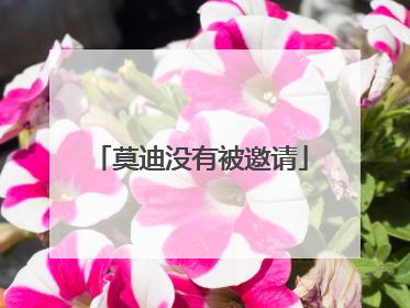 莫迪没有被邀请