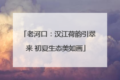 老河口：汉江荷韵引翠来 初夏生态美如画