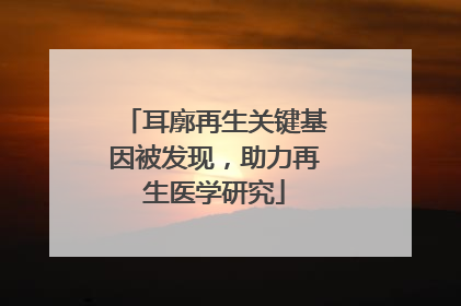 耳廓再生关键基因被发现，助力再生医学研究