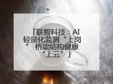 联智科技：AI轻量化监测“上岗” 桥梁结构健康“上云”