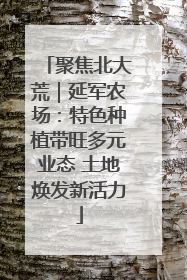 聚焦北大荒｜延军农场：特色种植带旺多元业态 土地焕发新活力