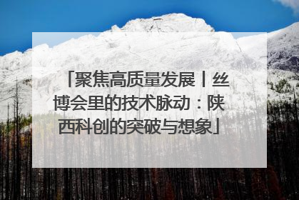 聚焦高质量发展丨丝博会里的技术脉动：陕西科创的突破与想象