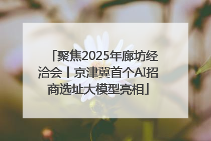 聚焦2025年廊坊经洽会丨京津冀首个AI招商选址大模型亮相