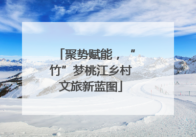 聚势赋能，“竹”梦桃江乡村文旅新蓝图
