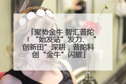 聚势金牛 智汇普陀〡“始发站”发力、“创新田”深耕，普陀科创“金牛”闪耀