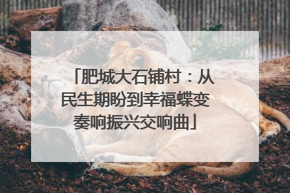 肥城大石铺村：从民生期盼到幸福蝶变奏响振兴交响曲