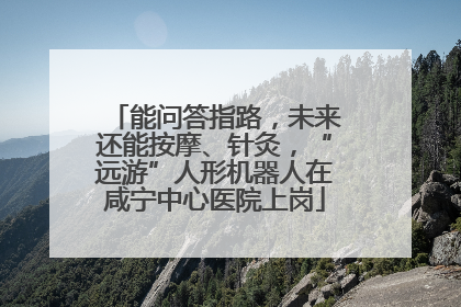 能问答指路，未来还能按摩、针灸，“远游”人形机器人在咸宁中心医院上岗