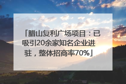 腊山复利广场项目：已吸引20余家知名企业进驻，整体招商率70%