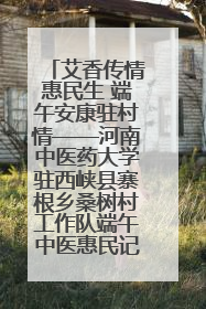 艾香传情惠民生 端午安康驻村情——河南中医药大学驻西峡县寨根乡桑树村工作队端午中医惠民记