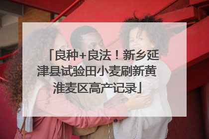 良种+良法！新乡延津县试验田小麦刷新黄淮麦区高产记录