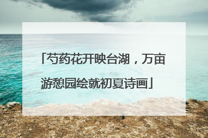 芍药花开映台湖，万亩游憩园绘就初夏诗画
