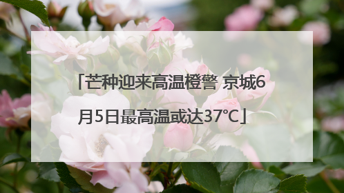 芒种迎来高温橙警 京城6月5日最高温或达37℃