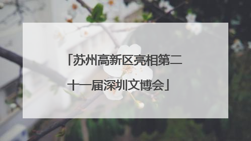 苏州高新区亮相第二十一届深圳文博会