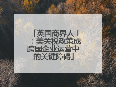 英国商界人士：美关税政策成跨国企业运营中的关键障碍