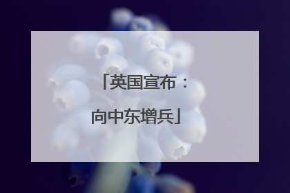 英国宣布：向中东增兵