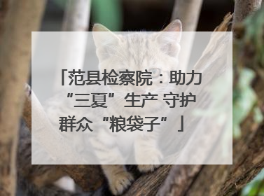 范县检察院：助力“三夏”生产 守护群众“粮袋子”