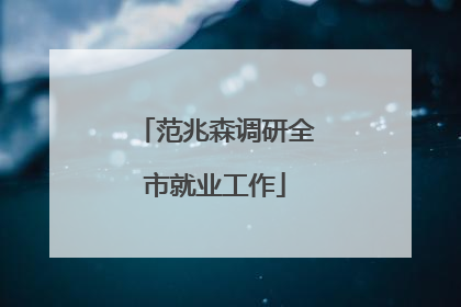 范兆森调研全市就业工作