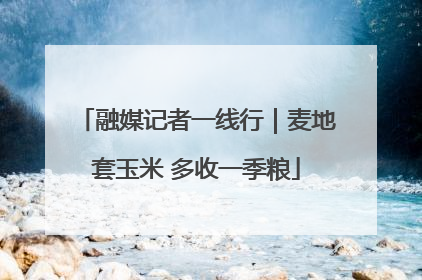 融媒记者一线行｜麦地套玉米 多收一季粮