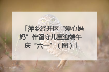 萍乡经开区“爱心妈妈”伴留守儿童迎端午庆“六一”（图）
